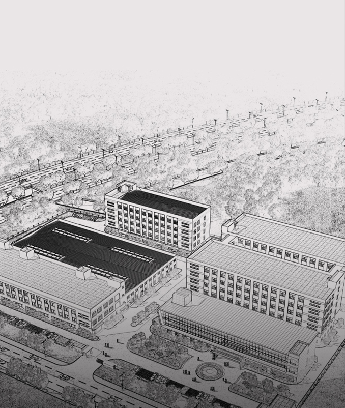 来利国际w66故事